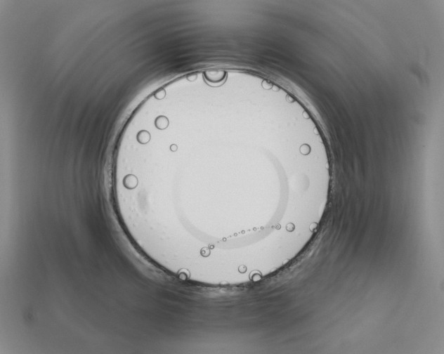 X0000112431195200909111024