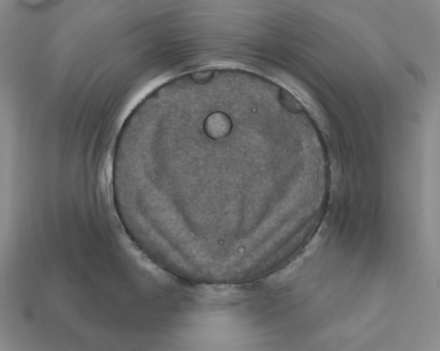 X0000112431198200909111024