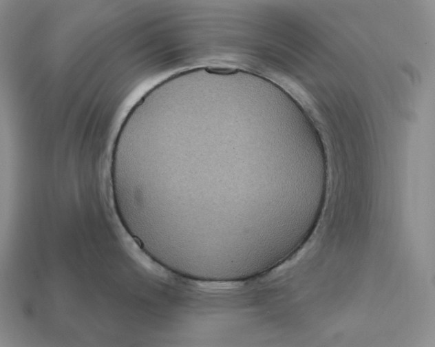 X0000112431200200909111024