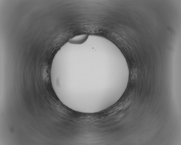 X0000112431202200909111023