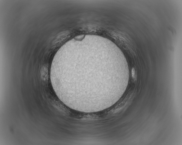 X0000112431203200909111023
