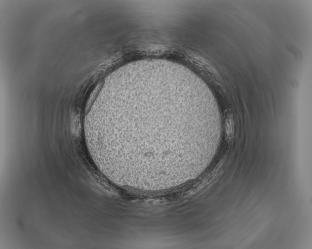 X0000112431204200909111023