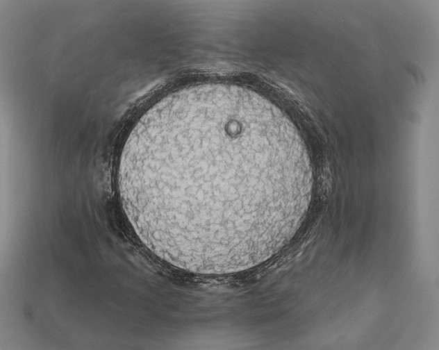 X0000112431205200909111023