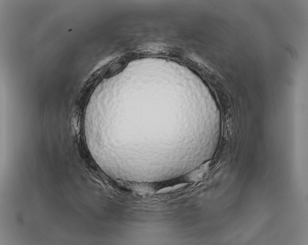 X0000112431206200909111023