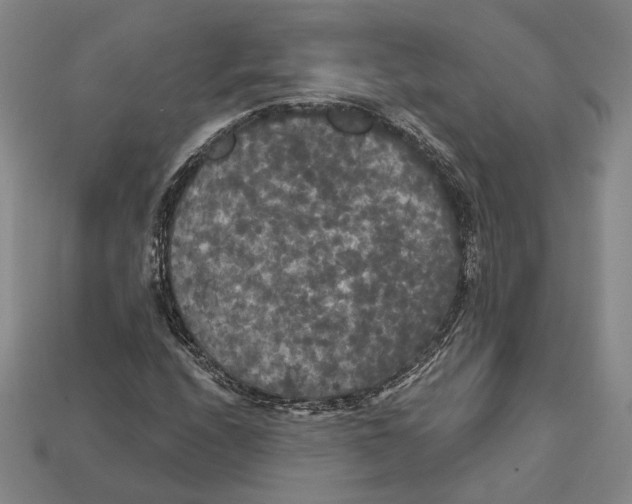 X0000112431208200909111023