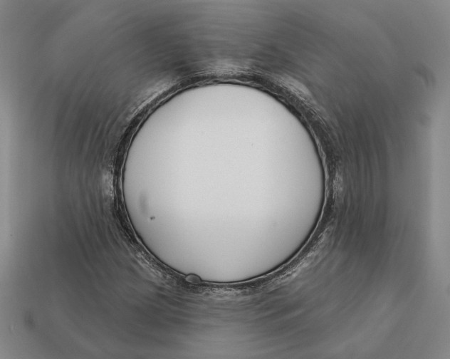X0000112431209200909111023