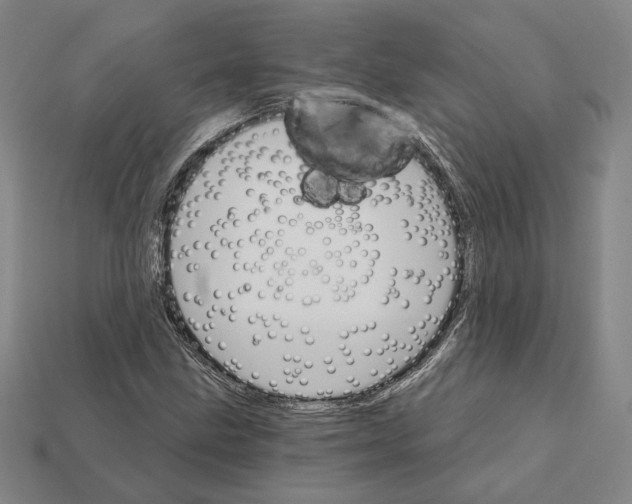 X0000112431211200909111023