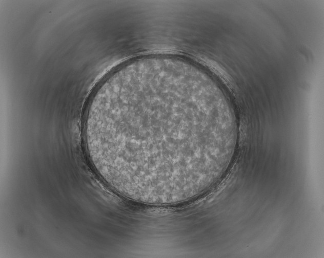 X0000112431212200909111023