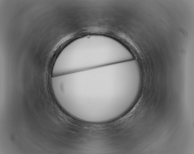 X0000112431213200909111023