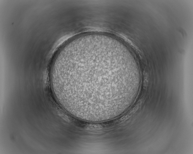 X0000112431215200909111023