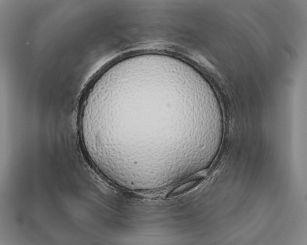 X0000112431216200909111023