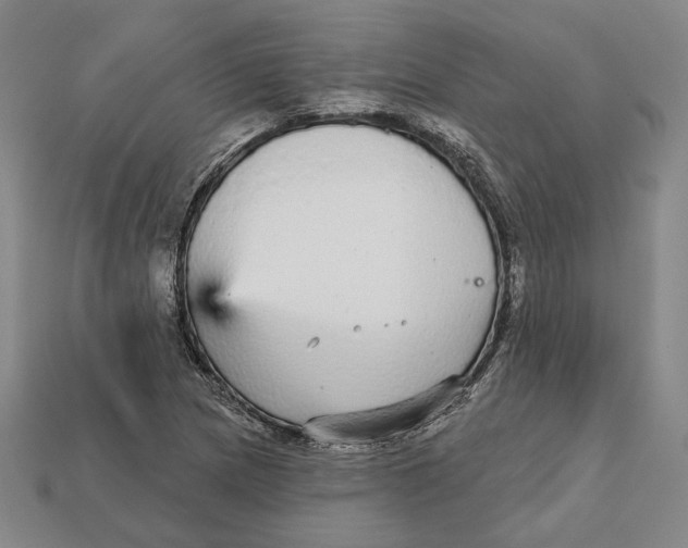 X0000112431217200909111023