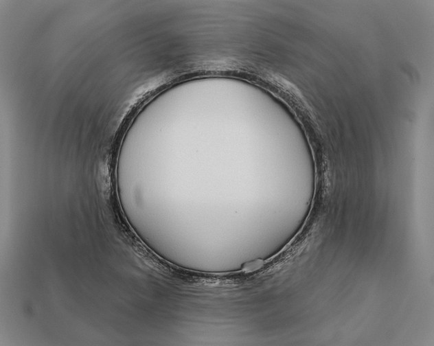 X0000112431218200909111023