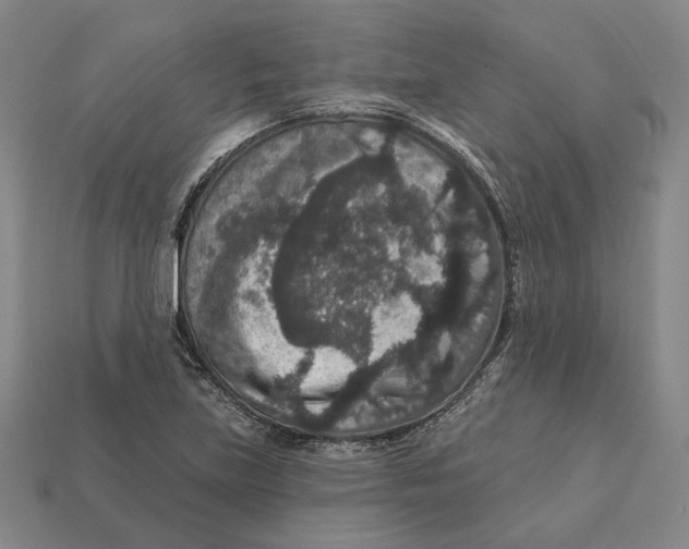 X0000112431219200909111023