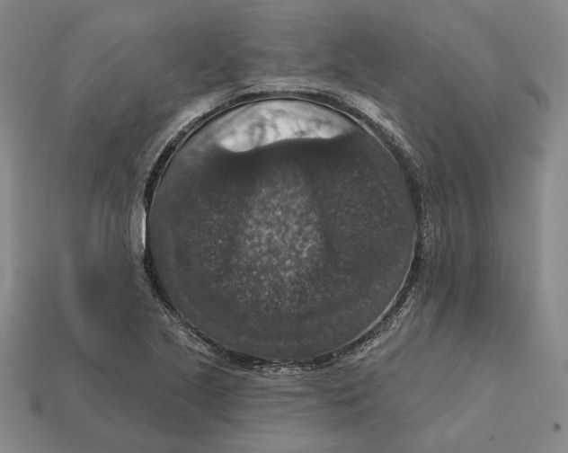 X0000112431221200909111023