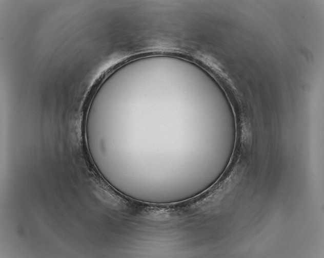 X0000112431222200909111023