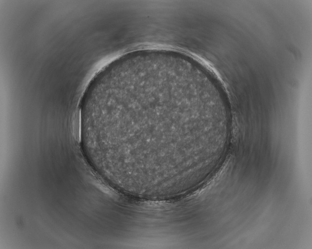 X0000112431223200909111023