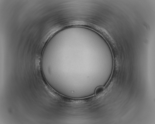 X0000112431225200909111023