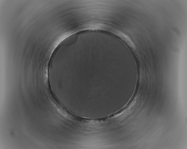 X0000112431226200909111023