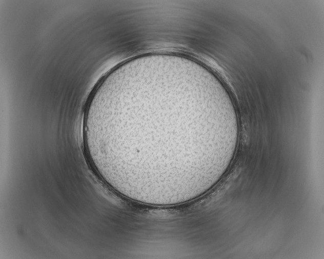X0000112431227200909111023