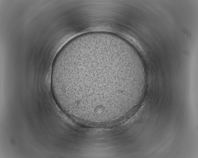 X0000112431228200909111023