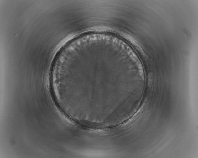 X0000112431229200909111023