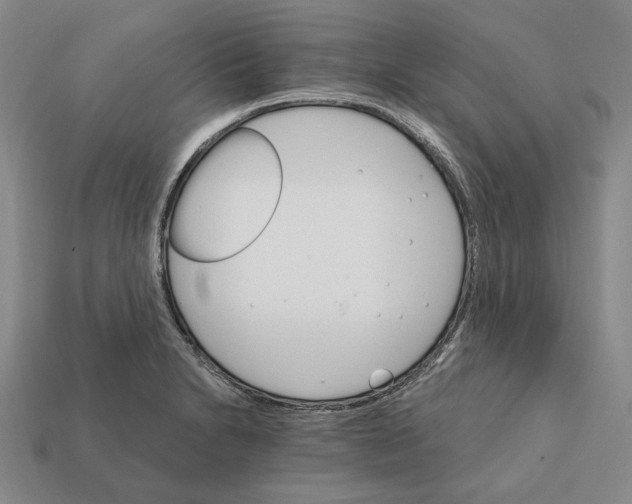 X0000112431230200909111023