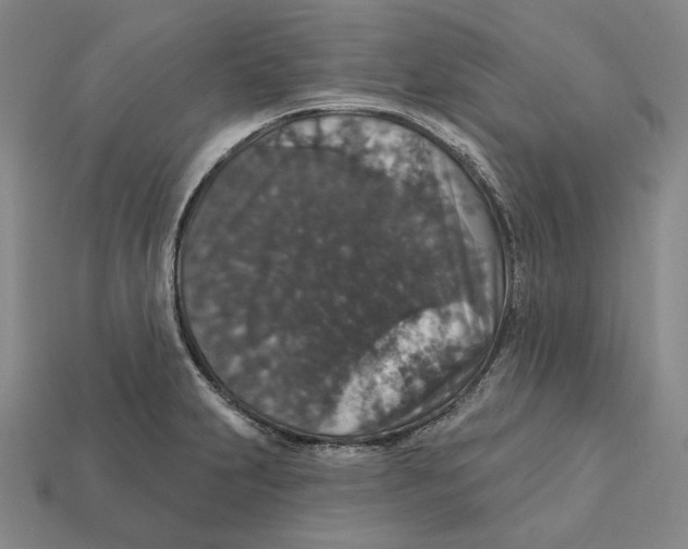 X0000112431231200909111023