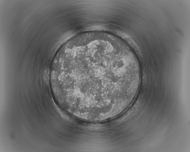 X0000112431233200909111023