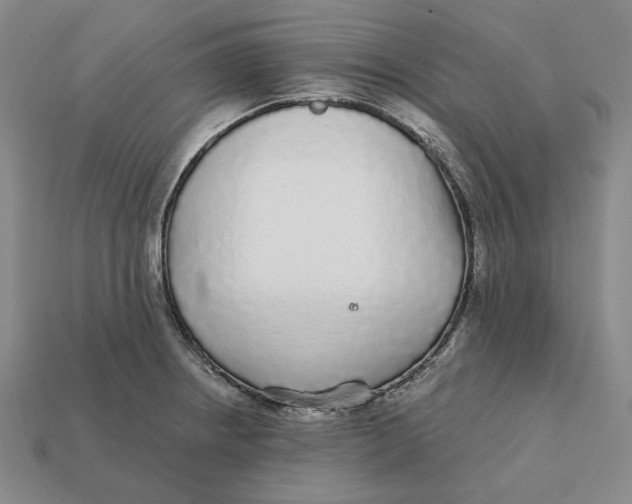 X0000112431234200909111023