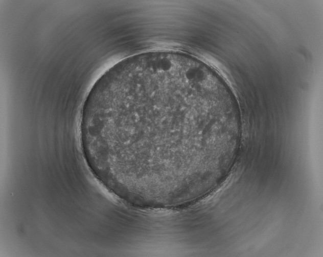 X0000112431235200909111023