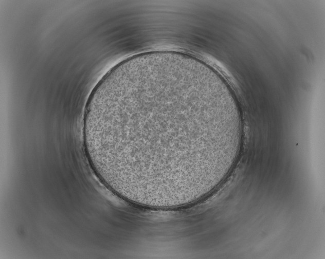 X0000112431236200909111023