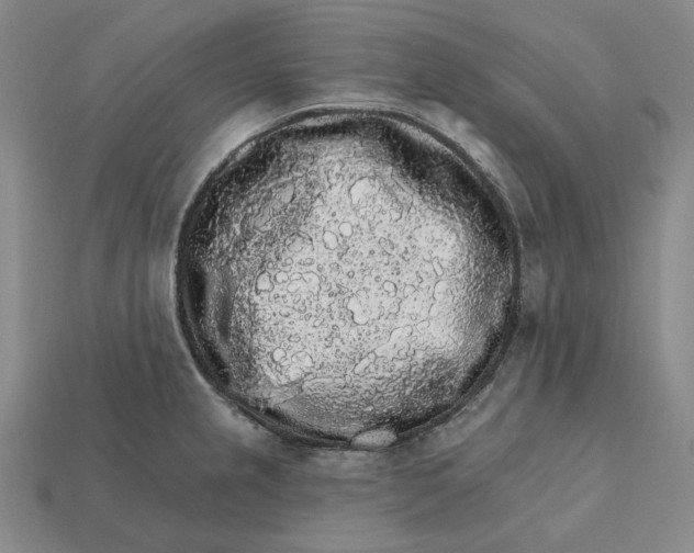 X0000112431237200909111023