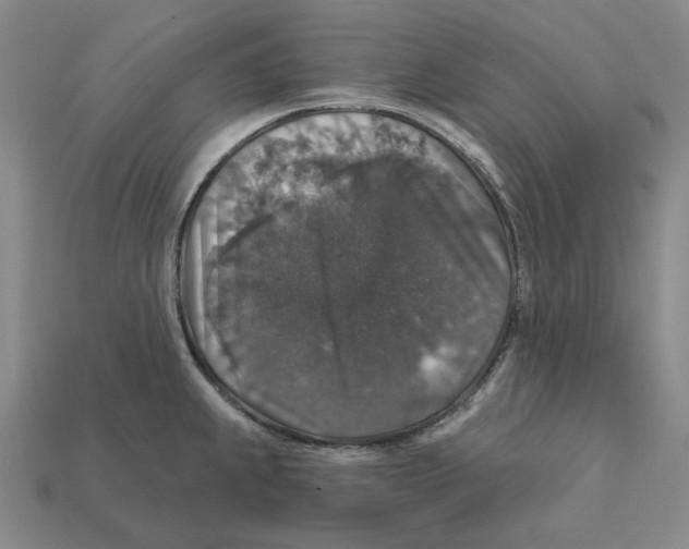 X0000112431239200909111023