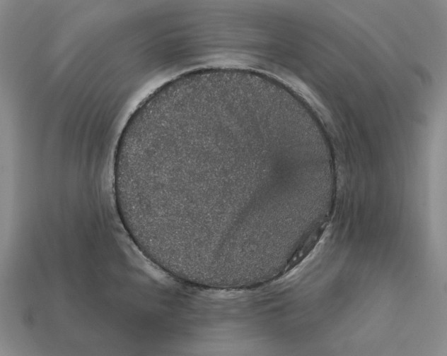 X0000112431240200909111023