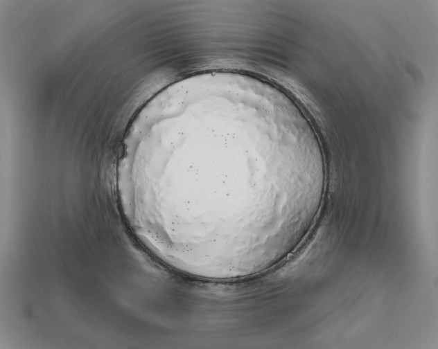 X0000112431241200909111023