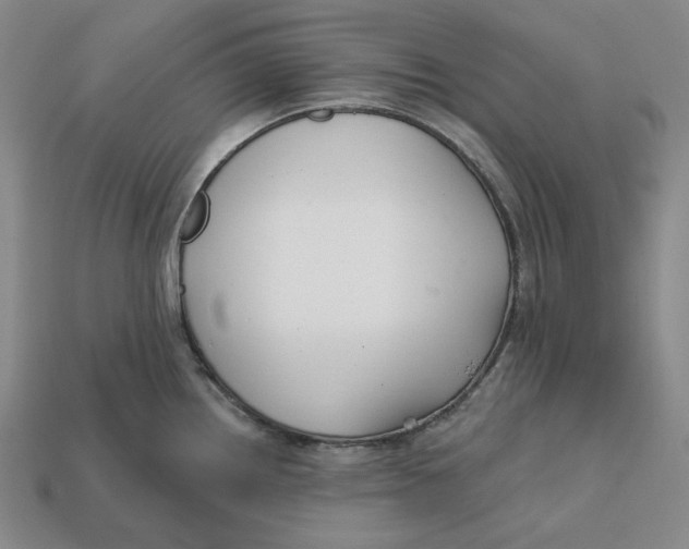 X0000112431242200909111024