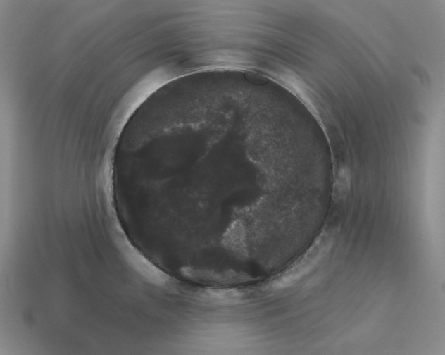 X0000112431243200909111024