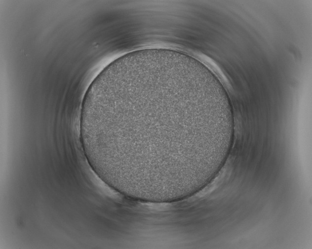 X0000112431244200909111024