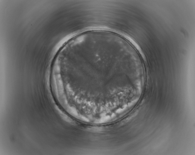 X0000112431245200909111024