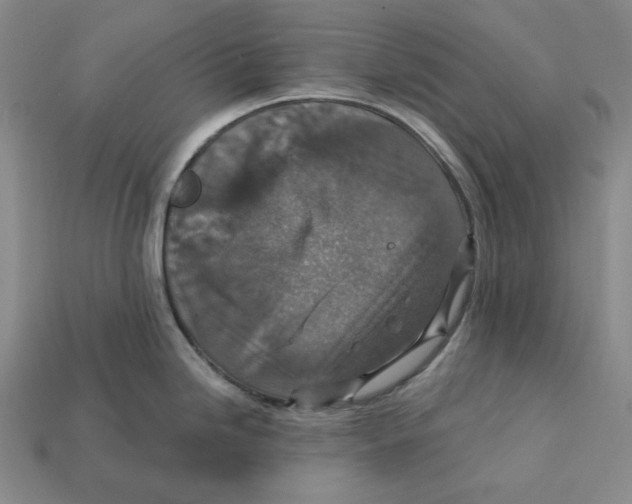 X0000112431246200909111024