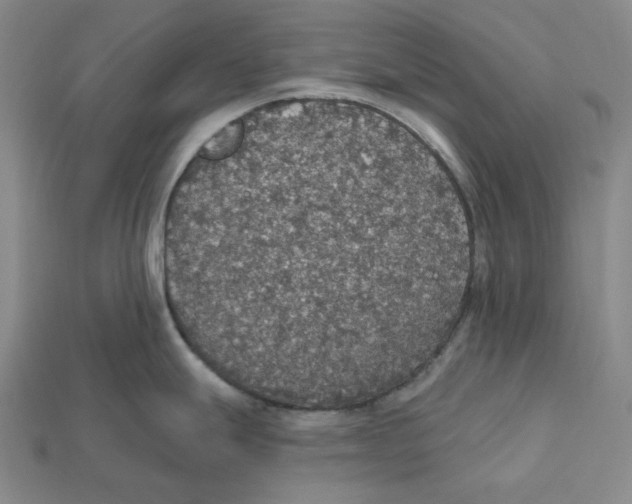 X0000112431247200909111024