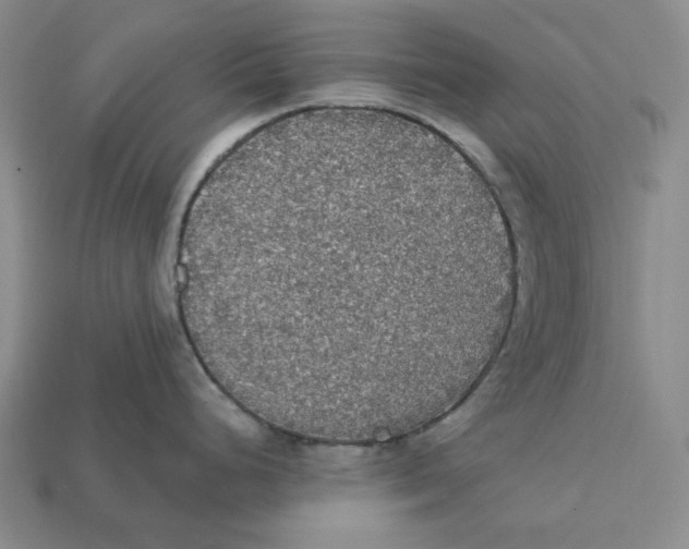 X0000112431248200909111024
