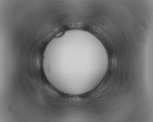 X0000112431250200909111023