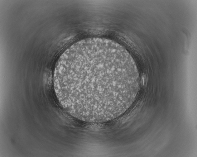 X0000112431251200909111023
