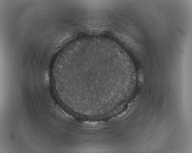 X0000112431252200909111023