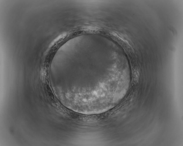 X0000112431254200909111023