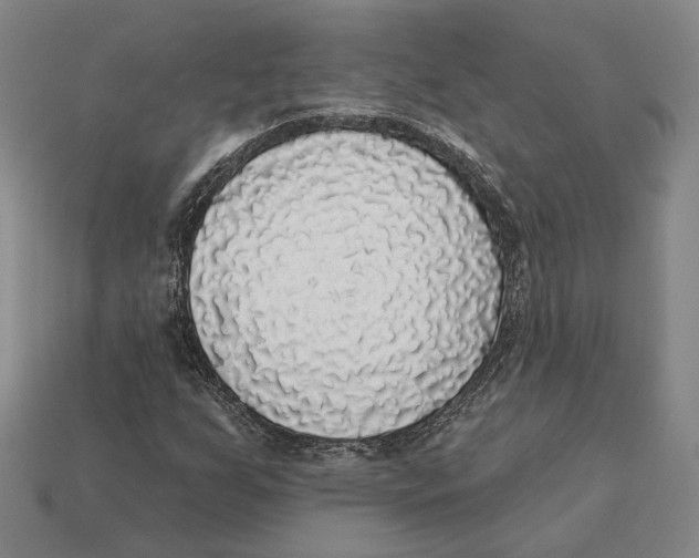 X0000112431255200909111023