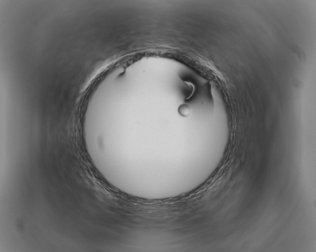 X0000112431256200909111023