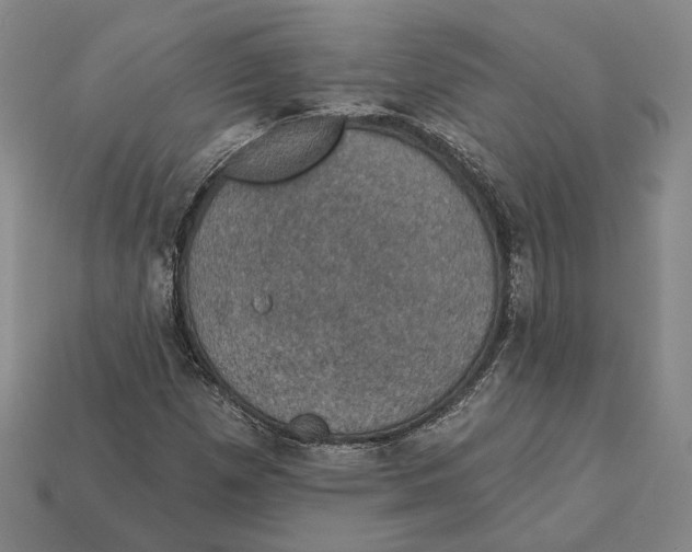 X0000112431257200909111023